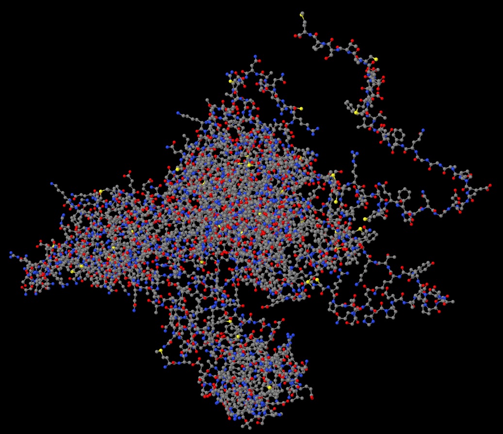 Human STAT3 protein structure - Ball and stick view 03 in .jpeg format