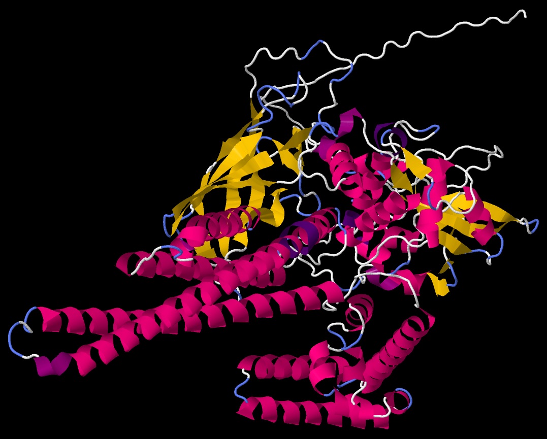 Human STAT3 protein structure - Cartoon view 01 in .jpeg format