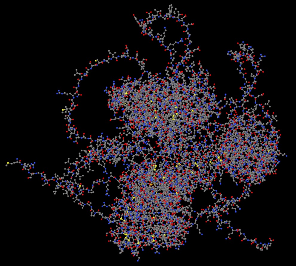 Human epidermal growth factor receptor (EGFR) protein structure - Ball and stick view 01 in .jpeg format