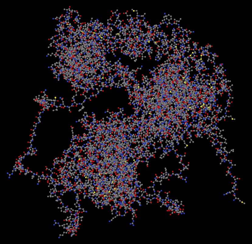 Human epidermal growth factor receptor (EGFR) protein structure - Ball and stick view 02 in .jpeg format