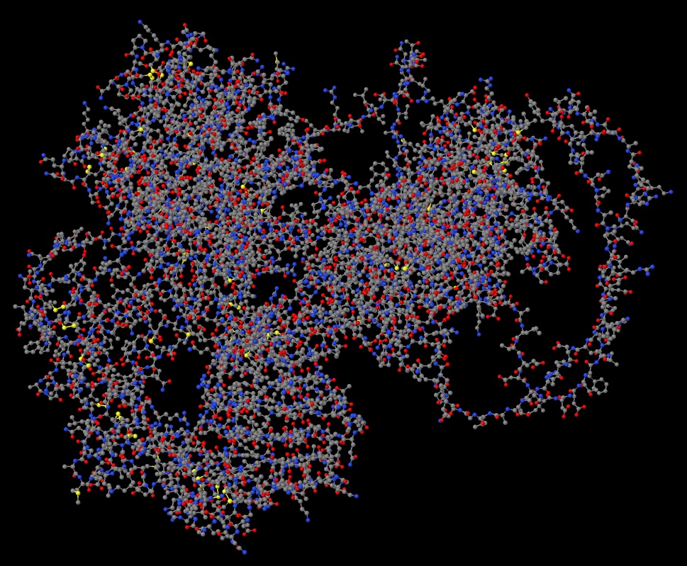 Human epidermal growth factor receptor (EGFR) protein structure - Ball and stick view 03 in .jpeg format